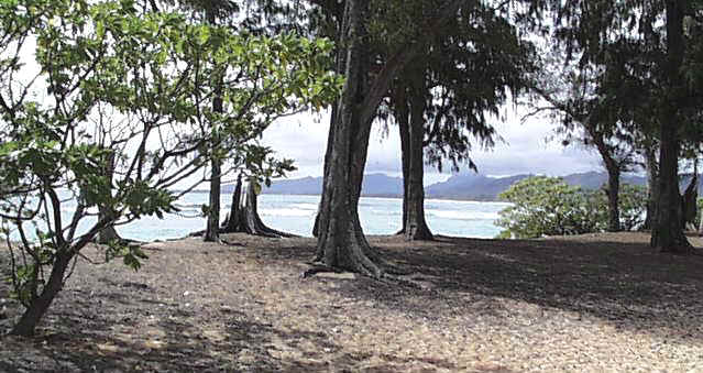 beach path