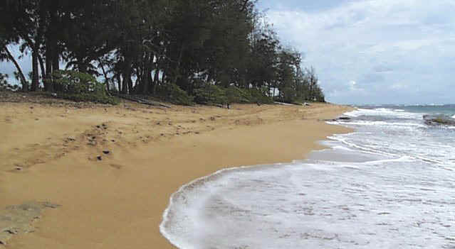 Beach at Plantation Hale