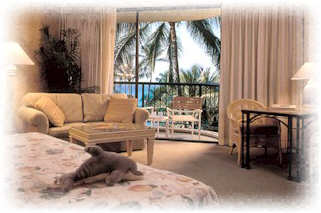 Hilton Waikoloa - Interior